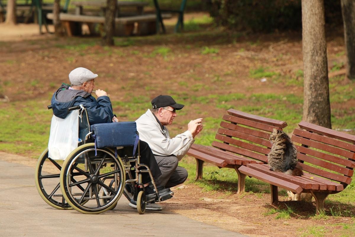 Zwei Senioren im Park, einer sitzt im Rollstuhl, der andere fotografiert eine Katze auf einer Bank.