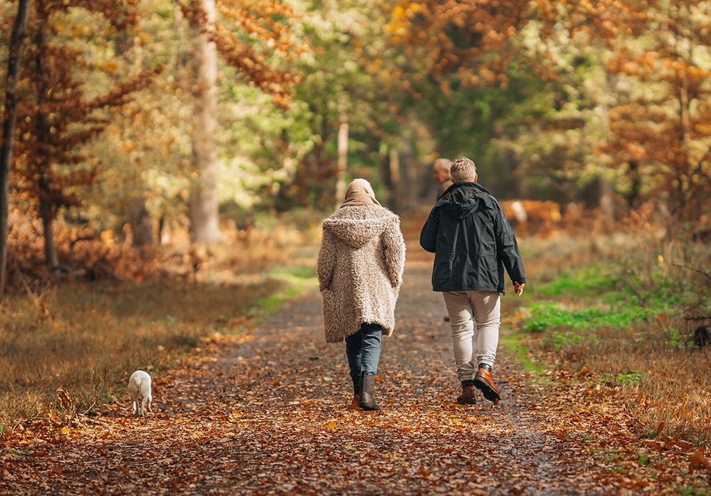 Rückansicht eines Paares mit Hund bei einem Herbstspaziergang